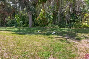 3609 Luma Dr, Holiday, FL 34691 - Photo 37