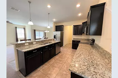 20010 Date Palm Way, Tampa, FL 33647 - Photo 3