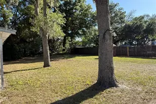38038 Cat Ave, Zephyrhills, FL 33541 - Photo 3