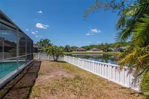 19103 Wind Dancer St, Lutz, FL 33558 - Photo 35