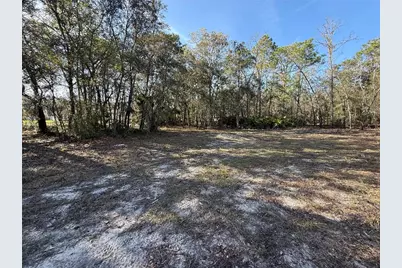 6479 W Holiday Street, Homosassa, FL 34446 - Photo 5