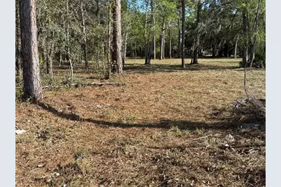 6479 W Holiday Street, Homosassa, FL 34446 - Photo 9