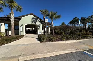 29850 Southwell Ln, Wesley Chapel, FL 33543 - Photo 29