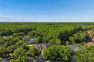 19108 Centre Rose Blvd, Lutz, FL 33558 - Photo 81