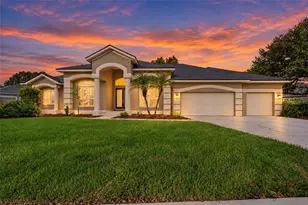 19108 Centre Rose Blvd, Lutz, FL 33558 - Photo 1