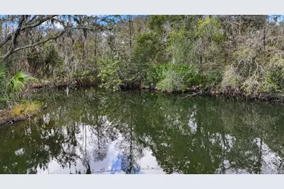 12730 Bullfrog Creek Road, Gibsonton, FL 33534 - Photo 7