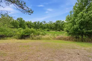 12005 Infinity Dr, New Port Richey, FL 34654 - Photo 43