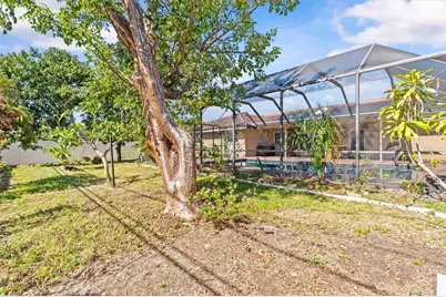 3149 Carlos Drive, Dunedin, FL 34698 - Photo 43
