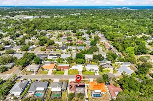 3149 Carlos Dr, Dunedin, FL 34698 - Photo 47