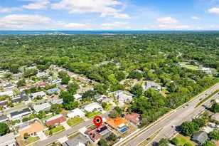 3149 Carlos Dr, Dunedin, FL 34698 - Photo 51