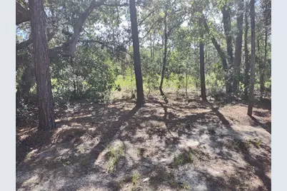 9325 N Travis Drive, Citrus Springs, FL 34434 - Photo 13
