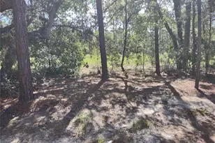9325 N Travis Dr, Citrus Springs, FL 34434 - Photo 13