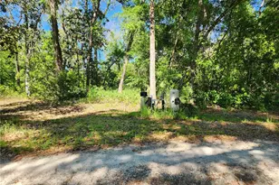 4150 S Spaniel Trail, Inverness, FL 34450 - Photo 23