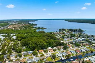 51 Cypress Dr, Palm Harbor, FL 34684 - Photo 59