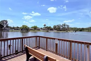 129 Camphor Cir, Oldsmar, FL 34677 - Photo 37