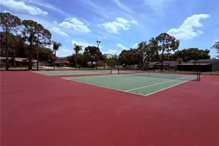 129 Camphor Cir, Oldsmar, FL 34677 - Photo 49
