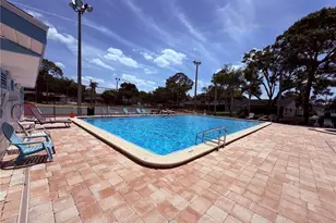 129 Camphor Cir, Oldsmar, FL 34677 - Photo 43