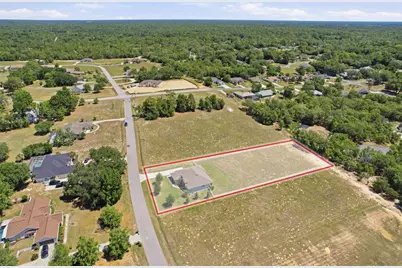 1381 N Spend A Buck Drive, Hernando, FL 34442 - Photo 69