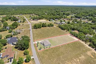 1381 N Spend a Buck Dr, Hernando, FL 34442 - Photo 69
