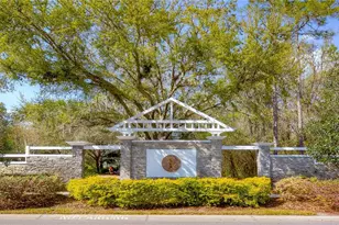 5820 Audubon Manor Blvd, Lithia, FL 33547 - Photo 39