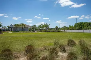 4317 Cloud Hopper Wy, Lutz, FL 33559 - Photo 37