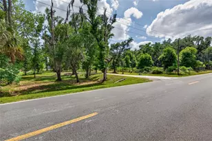 2851 Bruton Rd, Plant City, FL 33565 - Photo 71