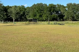 26645 County Rd 33, Groveland, FL 34736 - Photo 5