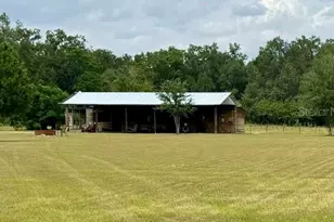 26645 County Rd 33, Groveland, FL 34736 - Photo 3
