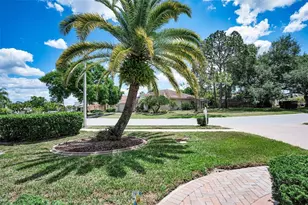 3423 Foxhall Dr, Holiday, FL 34691 - Photo 5