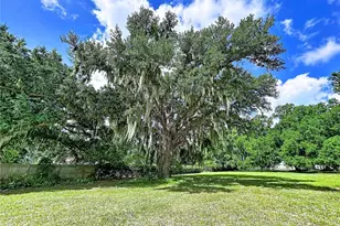 11008 Browning Rd, Lithia, FL 33547 - Photo 9
