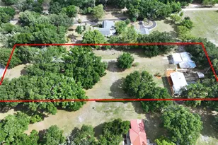 11008 Browning Rd, Lithia, FL 33547 - Photo 77