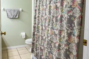 9046 Shenandoah Run, Wesley Chapel, FL 33544 - Photo 37