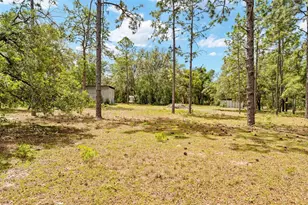 24503 Evaline St, Brooksville, FL 34601 - Photo 29