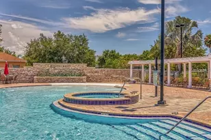 11013 Laurel Brook Ct, Riverview, FL 33569 - Photo 59