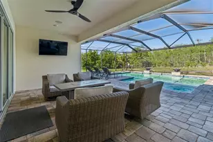 8768 Birchleaf Ct, Land O Lakes, FL 34637 - Photo 11