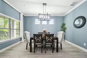 11717 Albatross Ln, Riverview, FL 33569 - Photo 7