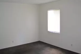 7506 Needle Leaf Pl, Tampa, FL 33617 - Photo 13