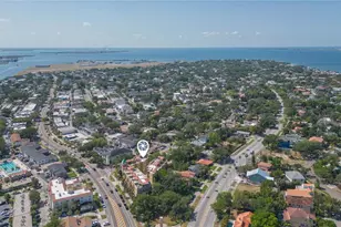 114 E Davis Blvd, Tampa, FL 33606 - Photo 31