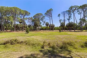 322 80th Ave NE, Saint Petersburg, FL 33702 - Photo 53
