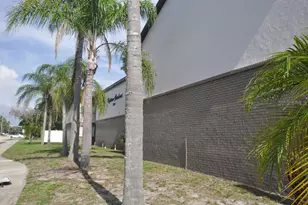 3914 W Neptune St, Tampa, FL 33629 - Photo 11