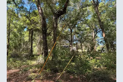 10185 Creekfield Road, Brooksville, FL 34613 - Photo 3