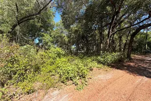 10185 Creekfield Rd, Brooksville, FL 34613 - Photo 1