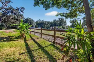 10627 McIntosh Rd, Thonotosassa, FL 33592 - Photo 31