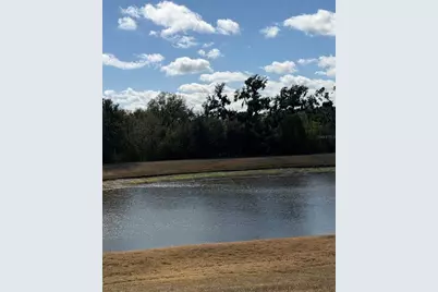 10742 Shady Preserve Drive, Riverview, FL 33579 - Photo 5