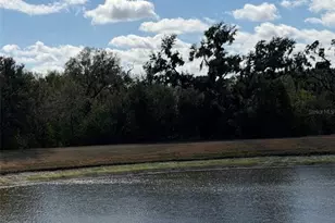 10742 Shady Preserve Dr, Riverview, FL 33579 - Photo 5
