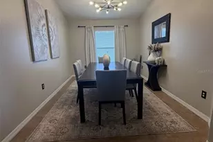 10742 Shady Preserve Dr, Riverview, FL 33579 - Photo 15