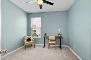 33410 Castaway Loop, Wesley Chapel, FL 33543 - Photo 49