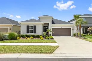 33410 Castaway Loop, Wesley Chapel, FL 33543 - Photo 1