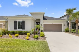 33410 Castaway Loop, Wesley Chapel, FL 33543 - Photo 67