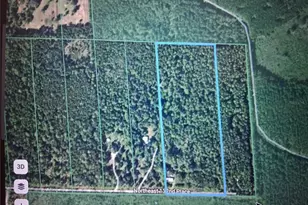 7831 NE 132nd Pl, Citra, FL 32113 - Photo 1